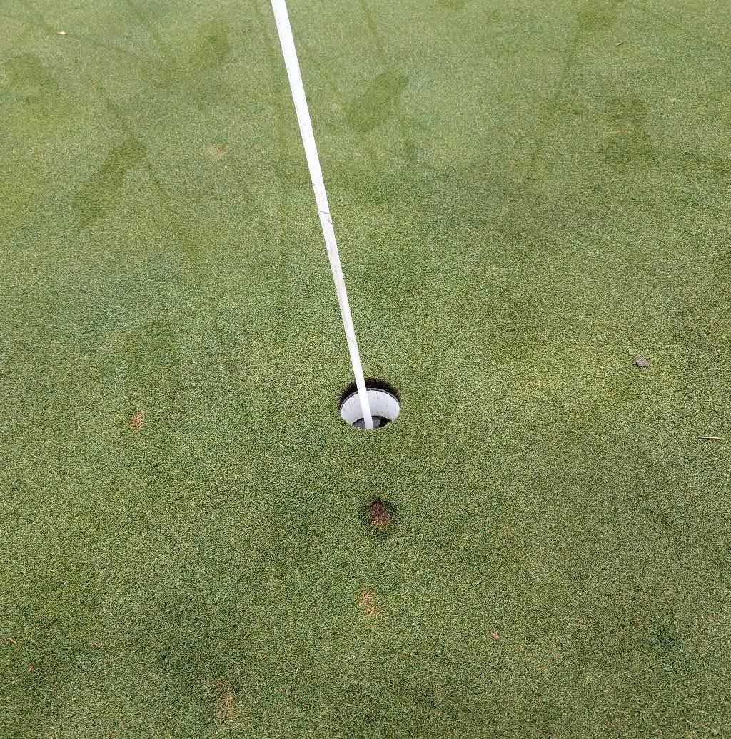 Golf green — the world this was built for